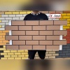 Клинкерная термопанель «Иллинойс 3»